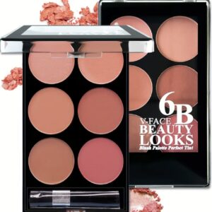 پالت رژگونه مات ۶ رنگ VFACE