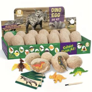 ست تخم فسیل دایناسور شامل ۱۲ تخم دایناسور منحصربه‌فرد با ۱۲ دایناسور کوچک قابل کشف، کودکان می‌توانند دایناسورها را از داخل تخم‌های مختلف کاوش کنند