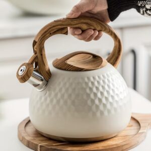 کتری استیل ضد زنگ ۳ لیتری سوت‌دار، قابل استفاده روی انواع اجاق‌ها