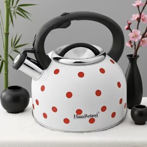 کتری استیل ۲.۵ لیتری، قابل استفاده روی اجاق‌های برقی و گازی، دارای سوت خودکار، ساخته‌شده از استیل ضدزنگ