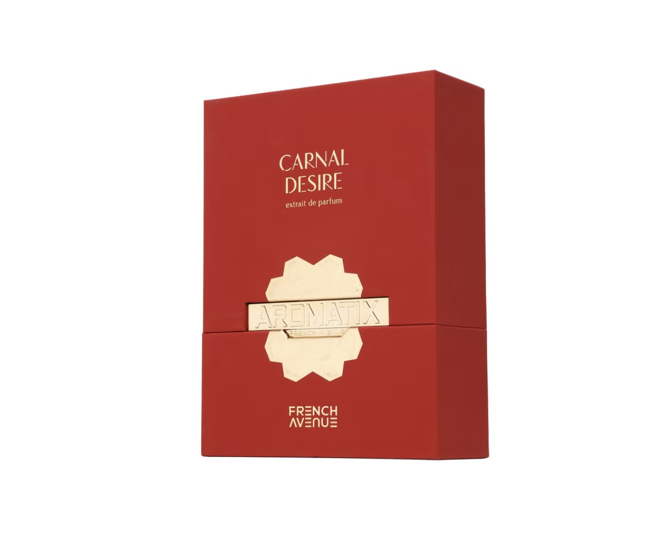 عطر مردانه Aromatix Carnal Desire Extrait De Parfum 100ml جسور و جذاب با رایحه چرم حس اعتمادبهنفس، جذابیت و وسوسهانگیزی منتقل میکند، ماندگاری بسیار بالا رایحه جذاب، لوکس و گرم - Image 2
