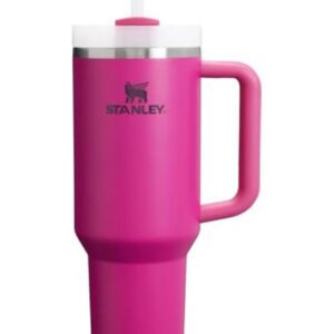 لیوان(قمقمه/بطری) از استیل ضدزنگ با عایق، همراه با درب و نی